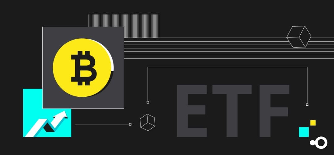 ETF Bitcoin les premières entrées après 9 jours noirs !