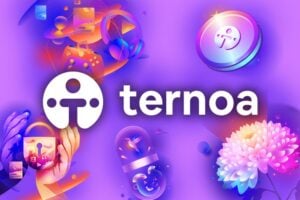 Ternoa : le projet français qui propose une utilisation c...