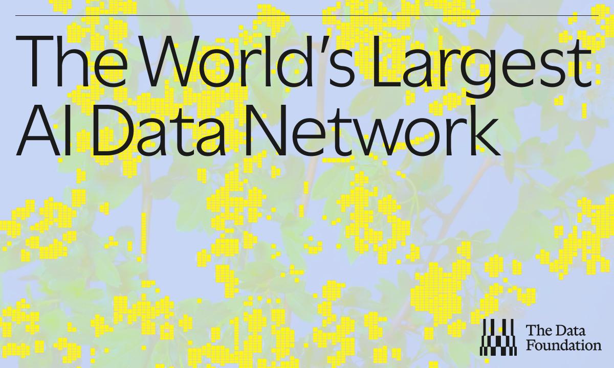 The DATA Foundation Launches to Tackle AI’s Multi-Billion...