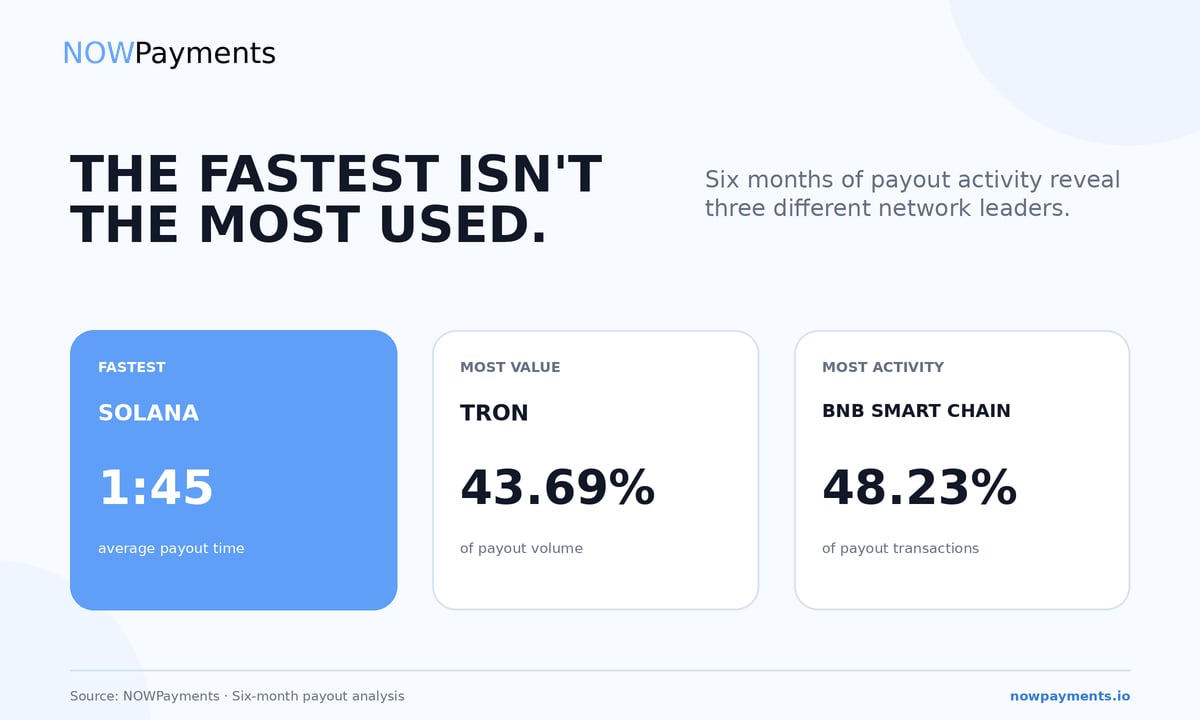 NOWPayments Releases Cross-Chain Payout Data Revealing Ke...